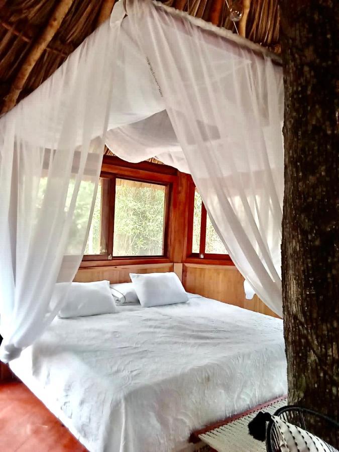 Nuscaa Boutique Tree House & Spa Hotel Puerto Morelos Kültér fotó