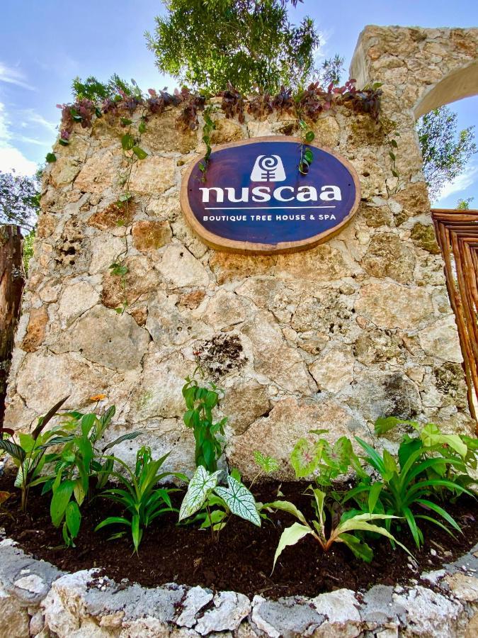 Nuscaa Boutique Tree House & Spa Hotel Puerto Morelos Kültér fotó