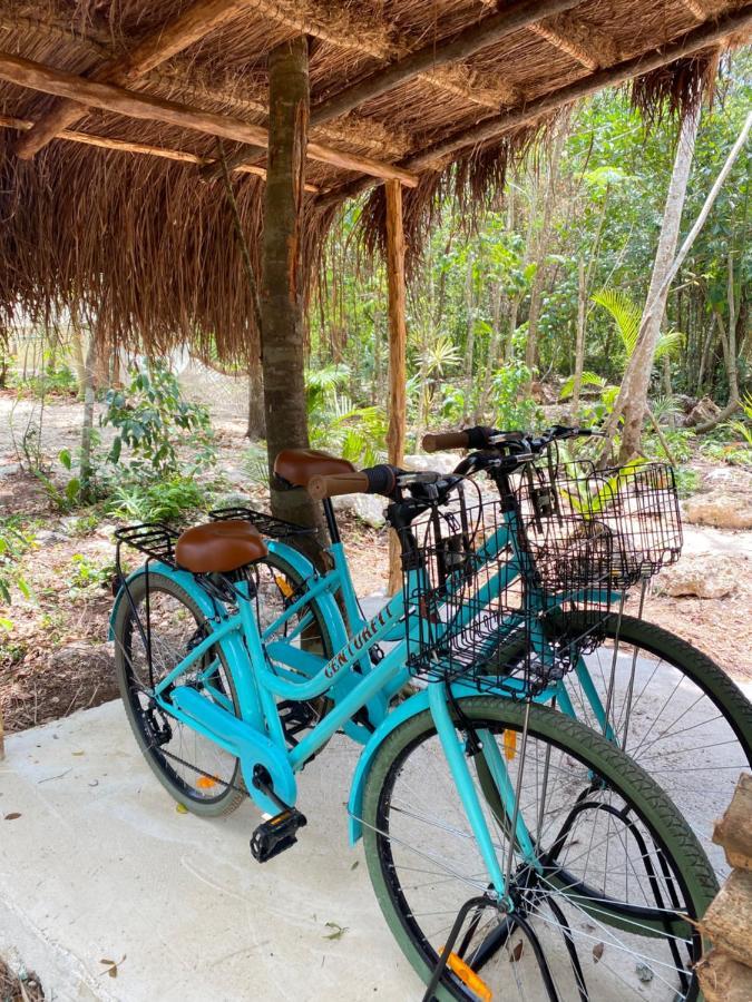Nuscaa Boutique Tree House & Spa Hotel Puerto Morelos Kültér fotó